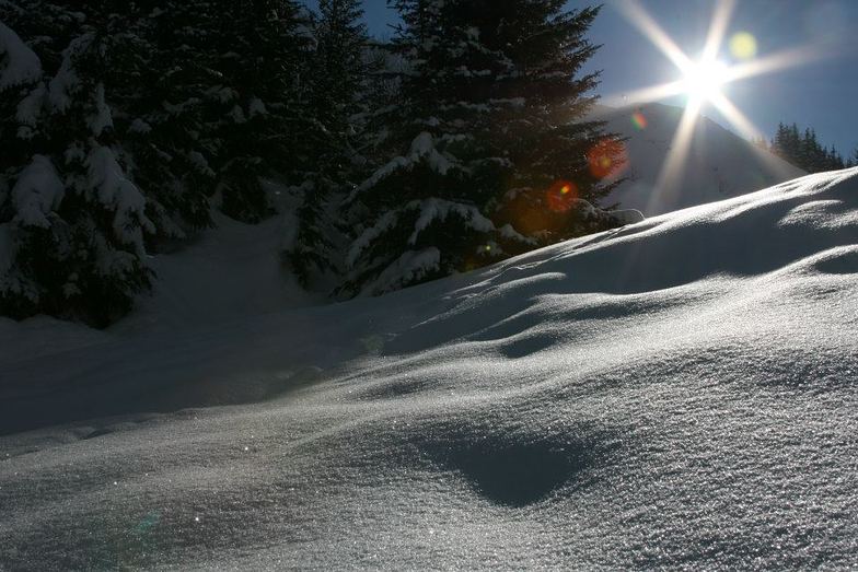 Untouched snow!, Courchevel
