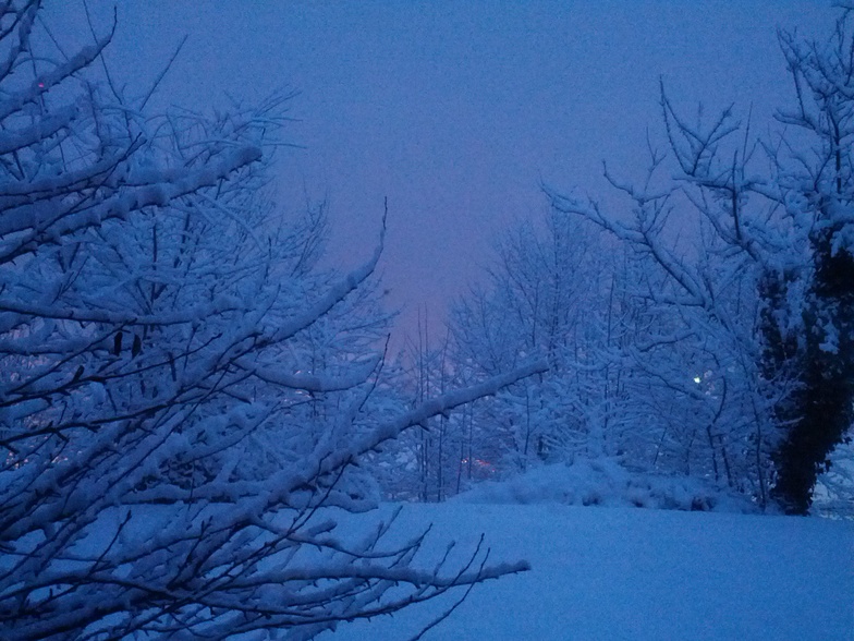 Waking up to a powder day, Villars