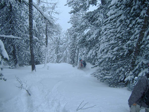 Powder in the trees, Champex-Lac