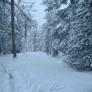 Powder in the trees, Champex-Lac
