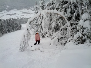 Powder Day in Norway, Trysil photo