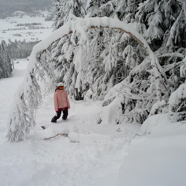 Powder Day in Norway, Trysil