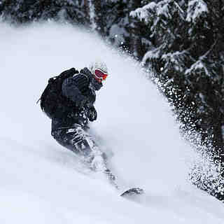 Freshies, Gstaad - St.Stephan - Zweisimmen