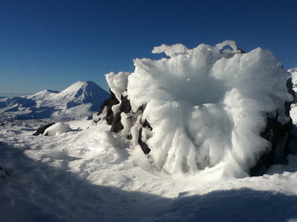 ice flower, Whakapapa