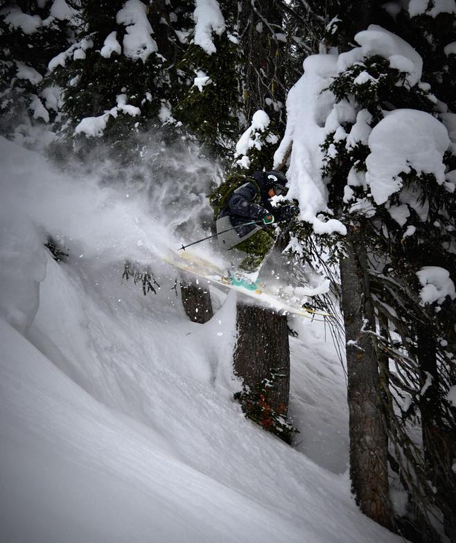 Paradise Powder, Revelstoke Mountain Resort