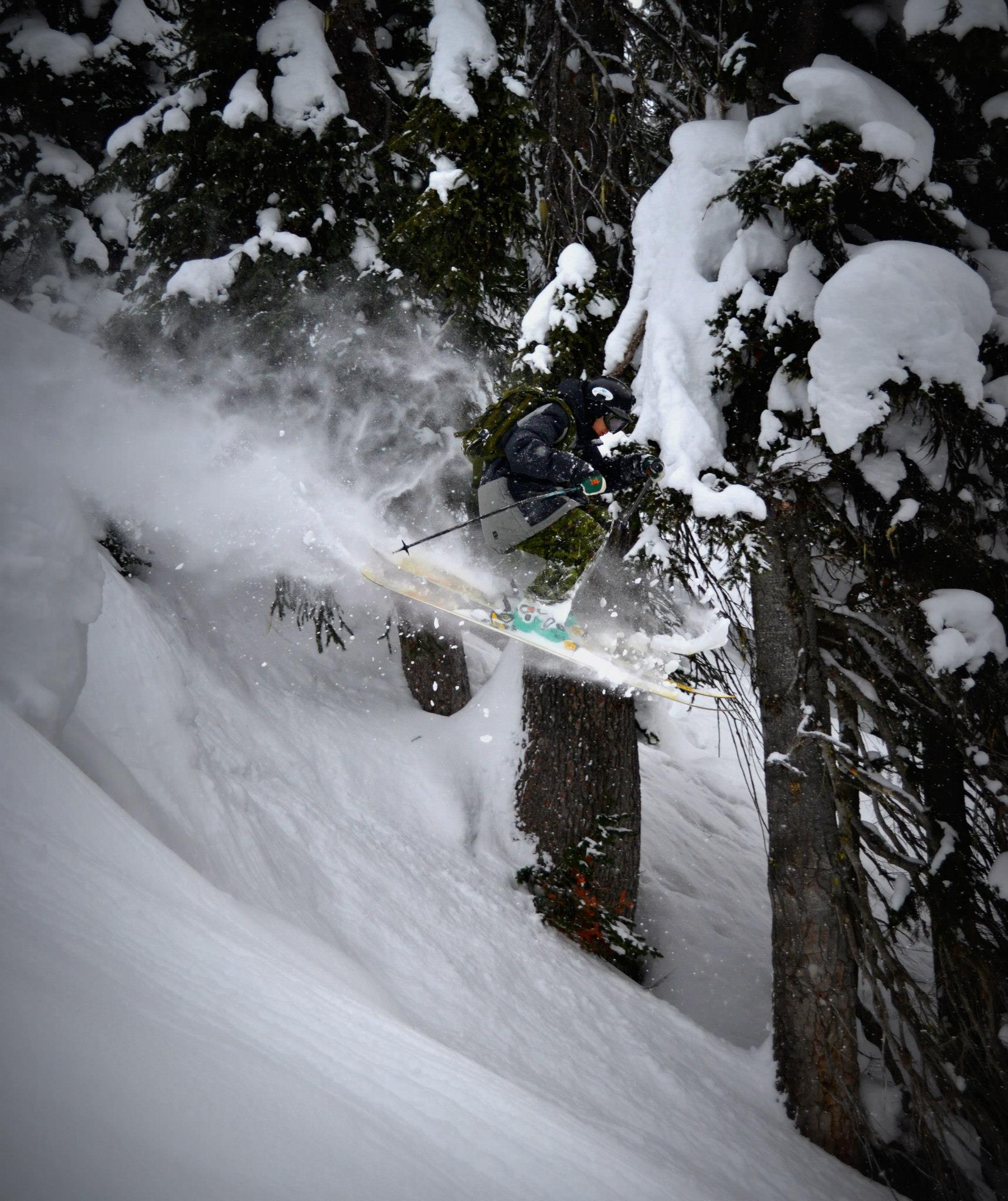 Paradise Powder, Revelstoke Mountain Resort
