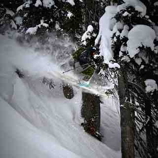 Paradise Powder, Revelstoke Mountain Resort