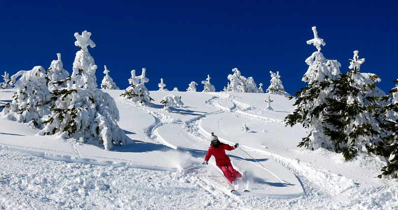 Sunny Powder, Seli