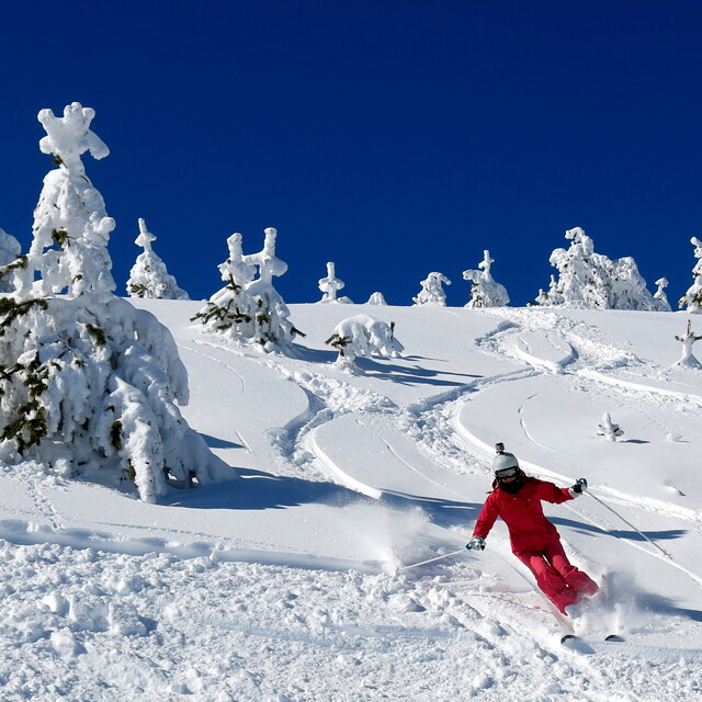 Seli Snow: Sunny Powder
