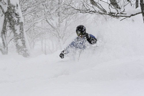 Niseko Grand Hirafu  Resort Guide