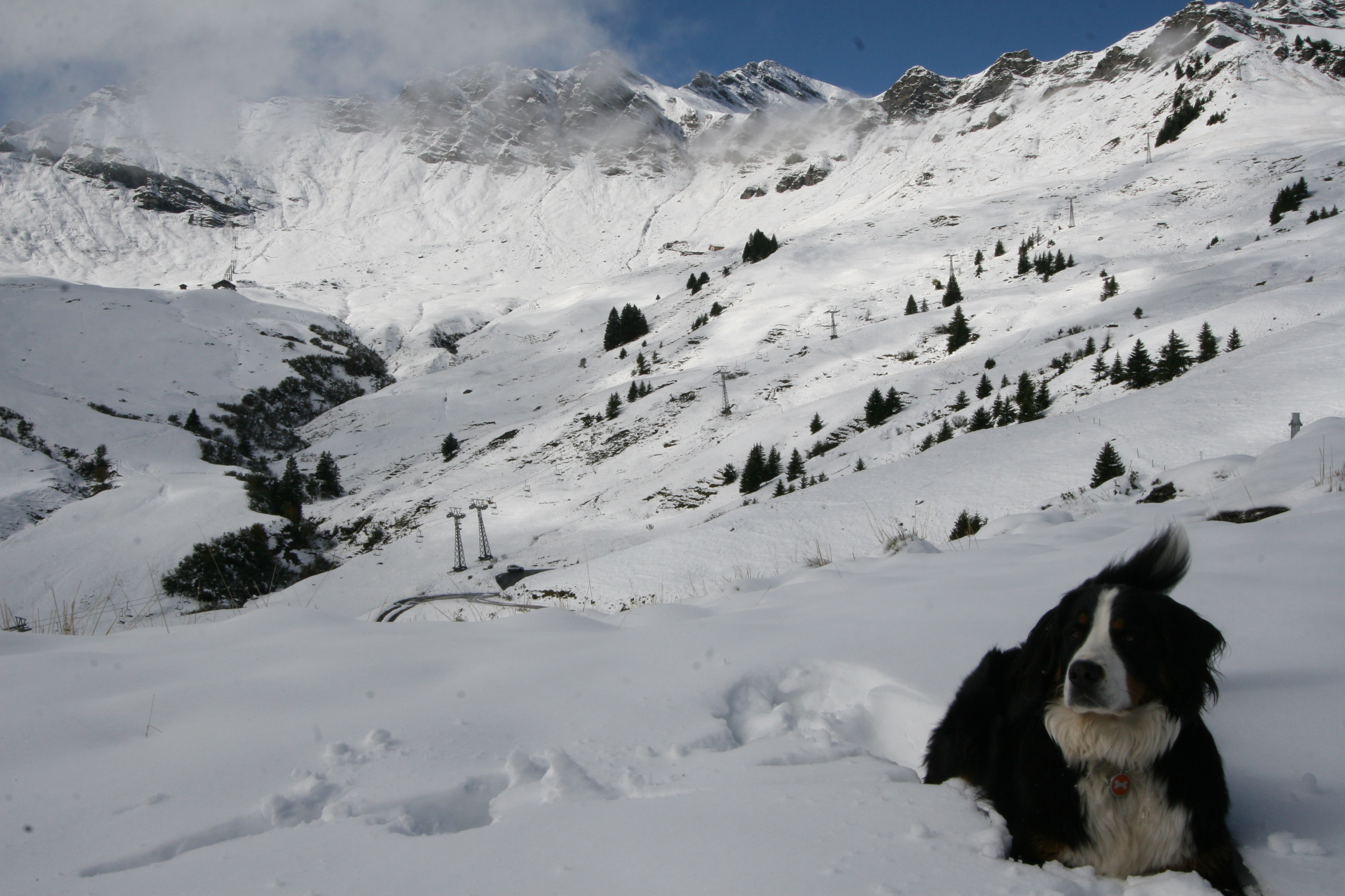Bailey, Champéry