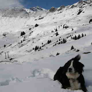 Bailey, Champéry