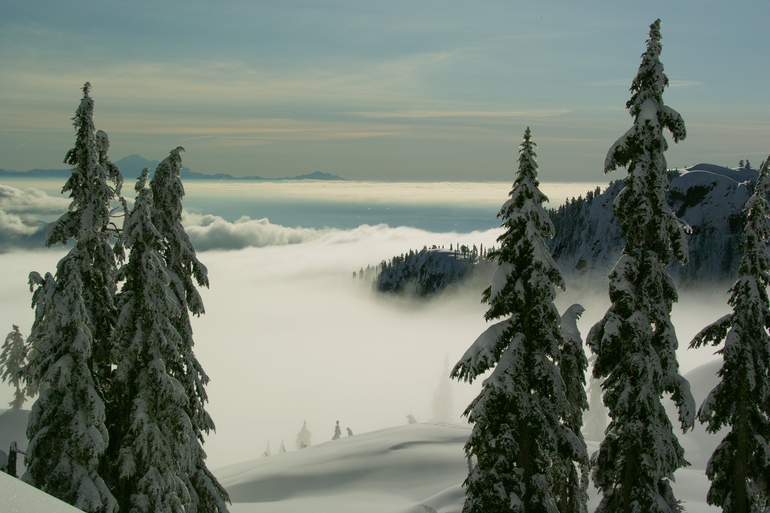 Vancouver fog, Mt Seymour