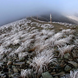 اولین برف, Iran