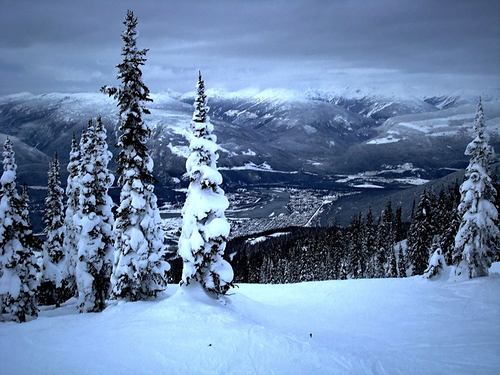 Revelstoke Mountain Resort Ski Resort by: RonEllery