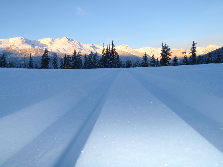 Fresh Tracks
