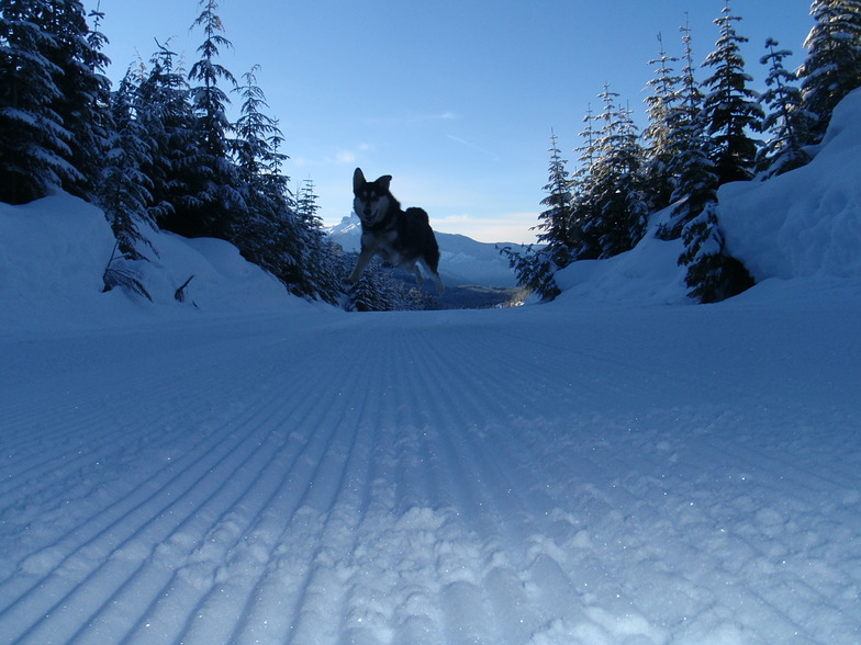 Attack, Whistler Olympic Park