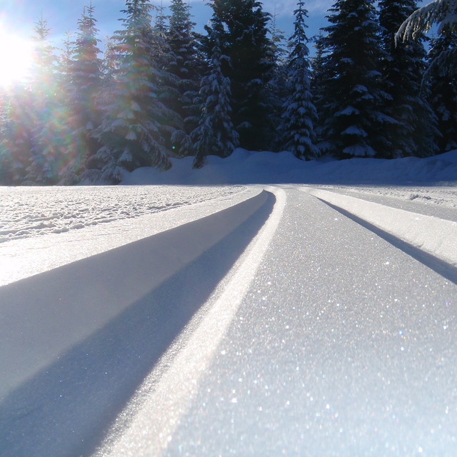 Morning Perfection, Whistler Olympic Park