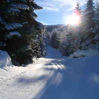 Morning Sun, Whistler Olympic Park