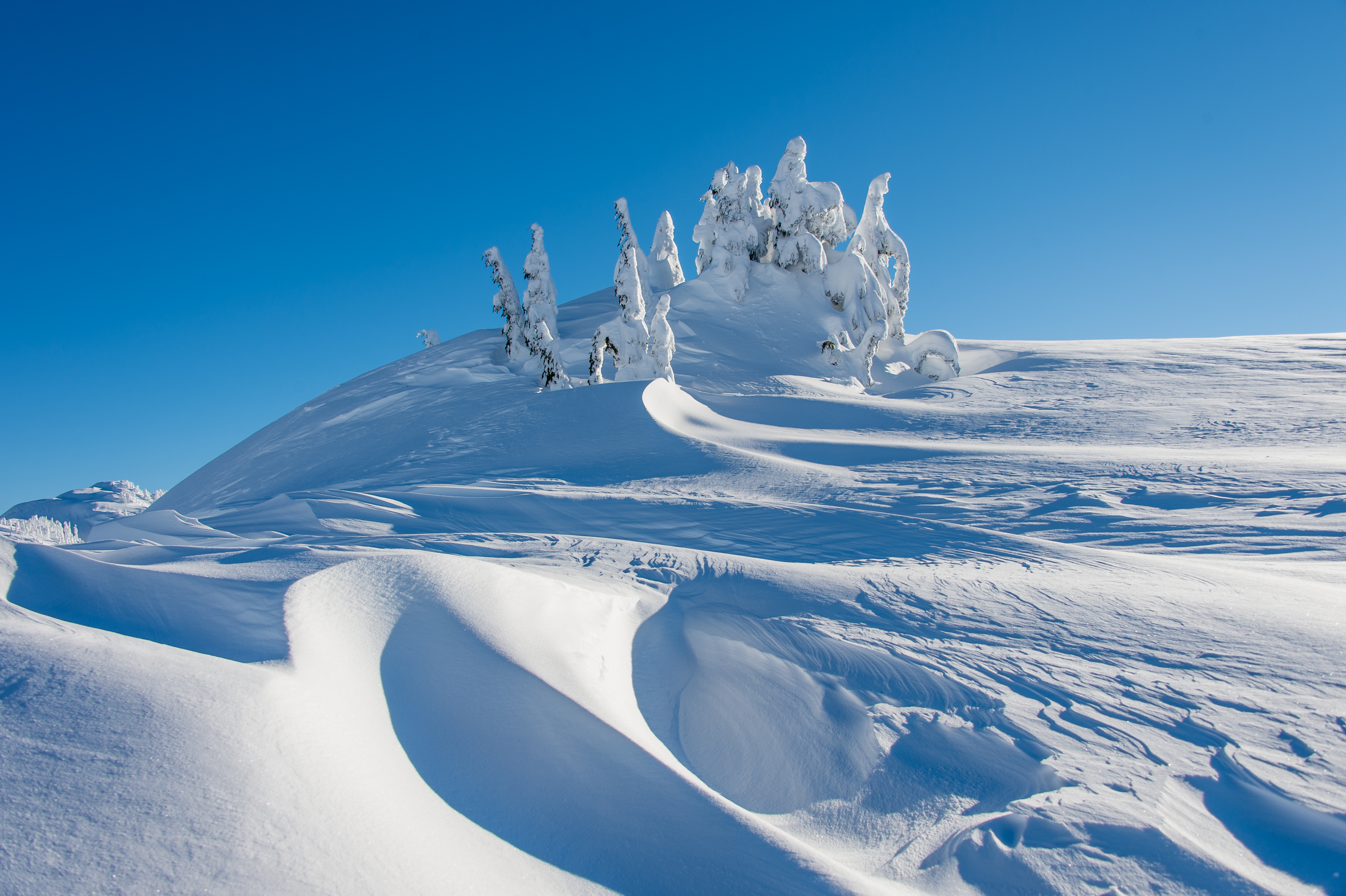 Artist Point, Mount Baker