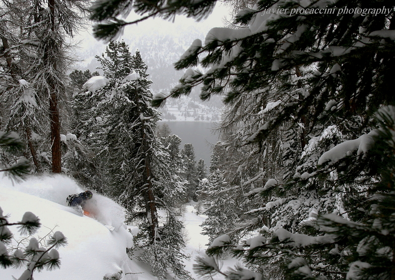 Tree run @ Corvatsch with Lucas Swieykowski, Corvatsch-Furtschellas