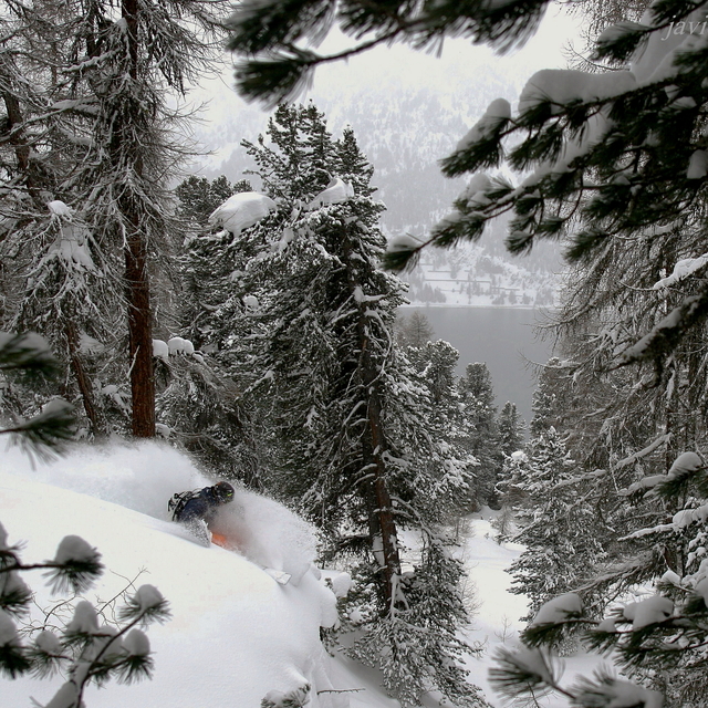 Tree run @ Corvatsch with Lucas Swieykowski, Corvatsch-Furtschellas