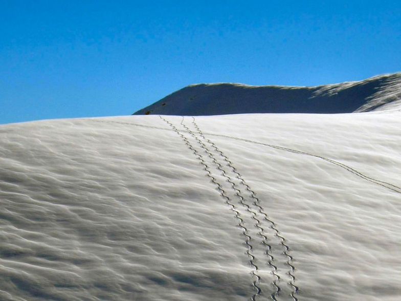 Tracce di discesa dal Mt. Aquila (Giaveno - Torino)