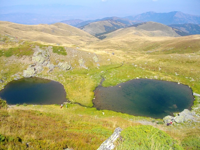 Салакови Езера, Karadjica