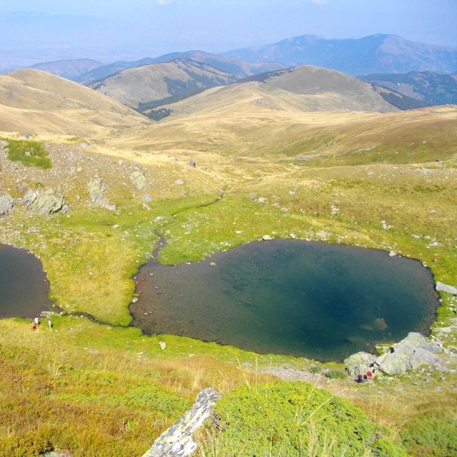 Салакови Езера, Karadjica