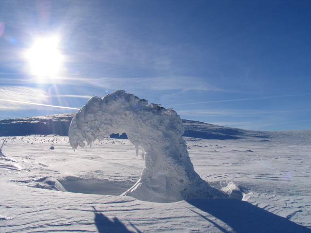 Zieleniec snow