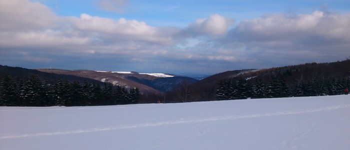 Nature by Snow, Telnice
