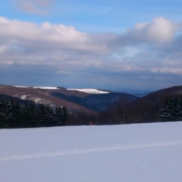 Nature by Snow, Telnice