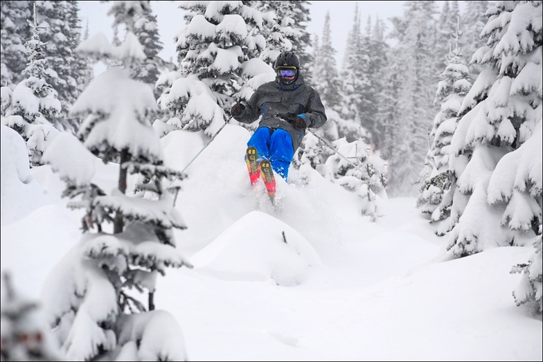 big white