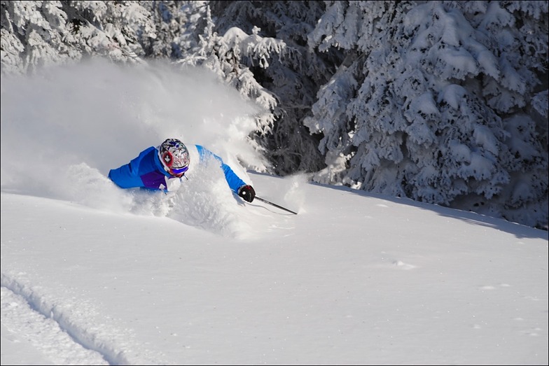 big white