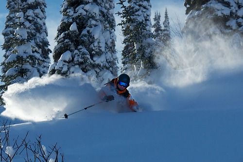 Fernie  Guide de la station