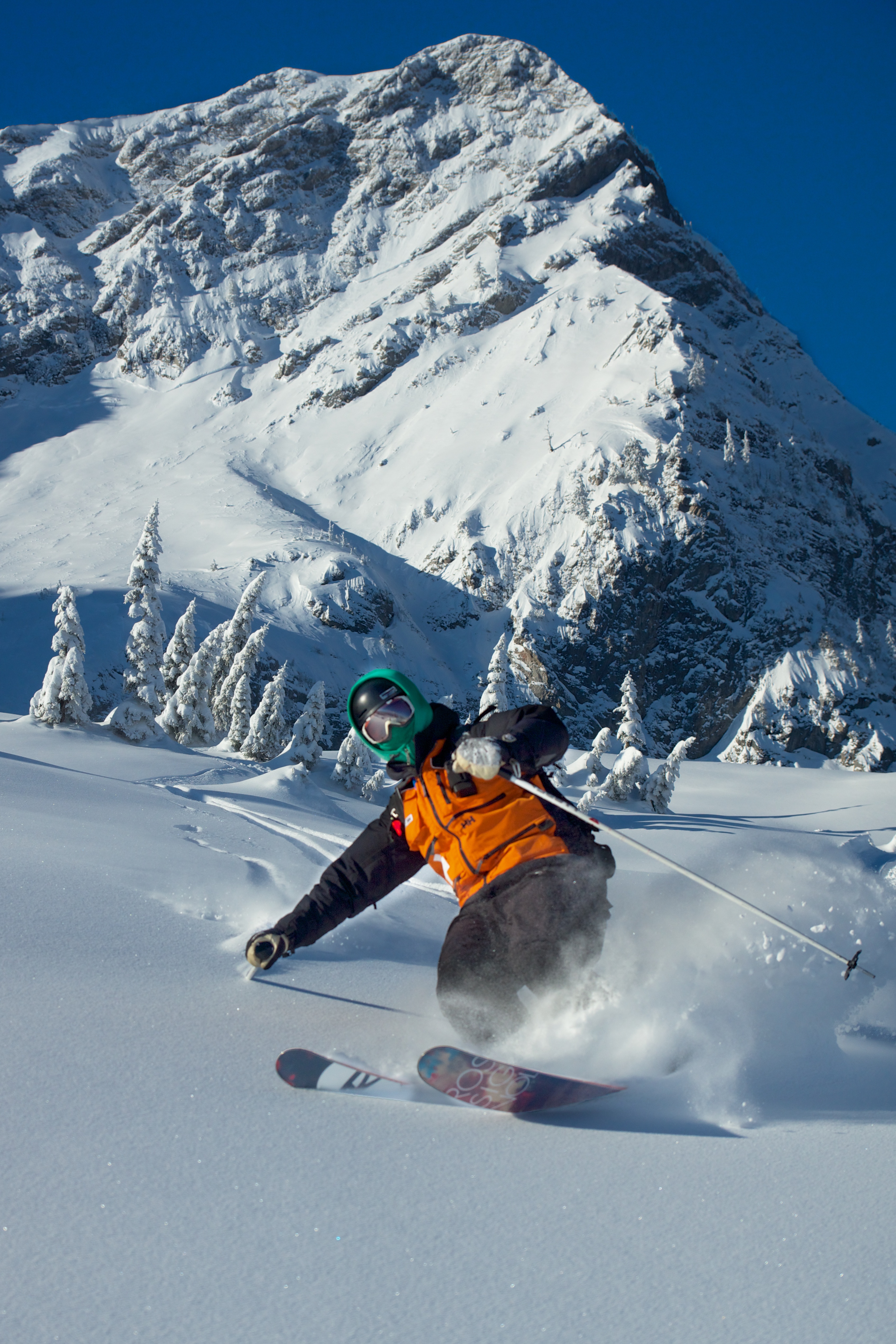 Lizard Fan / Face Lift, Fernie