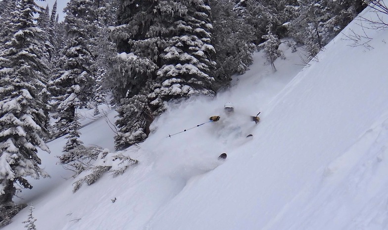Mars Run, Fernie