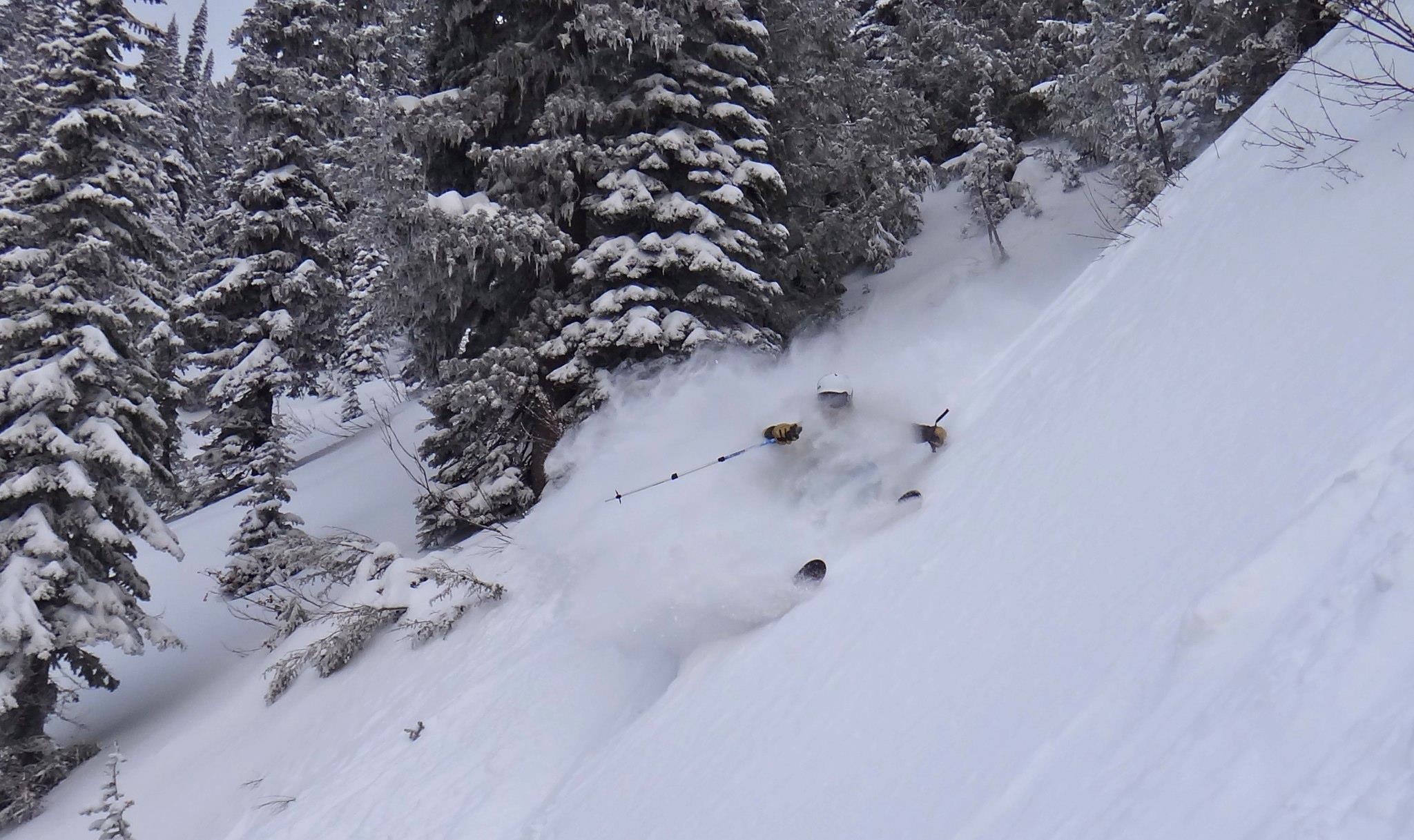 Mars Run, Fernie