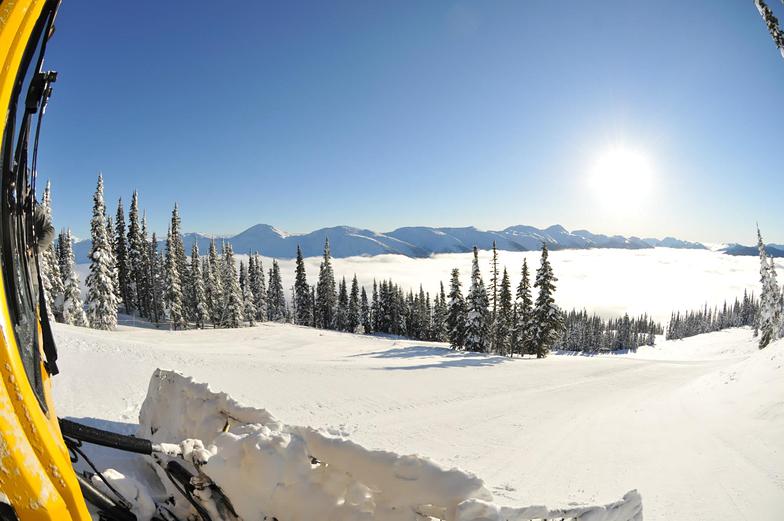 Blue bird Groomer, Powder King