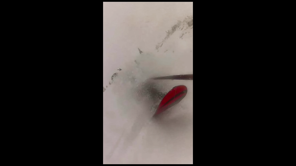 Face Shot, Powder King