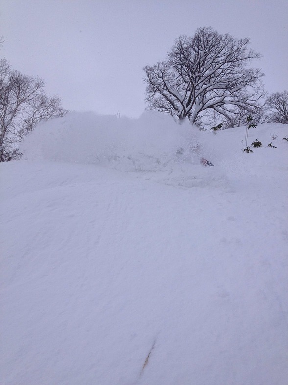 Sublime Niseko Powder, Niseko Grand Hirafu