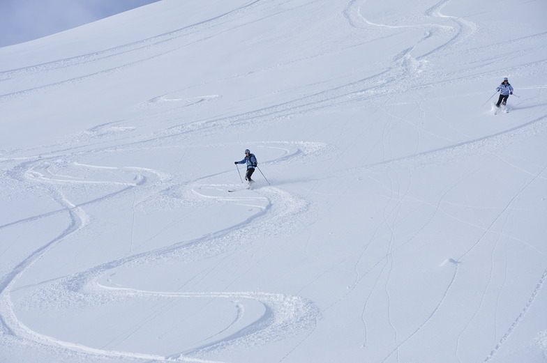 Back Corries pow, Nevis Range