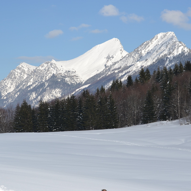 les Aillons-Margeriaz / col des pré