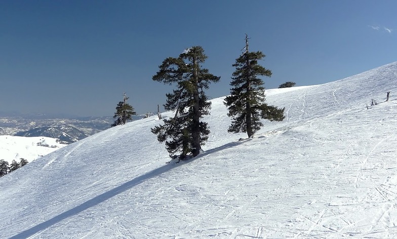 Vassilitsa, Vasilitsa