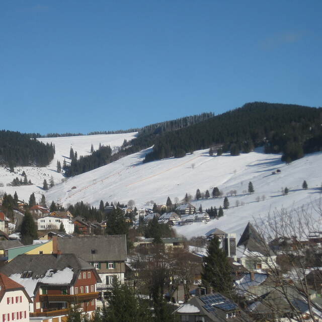 Todtnauberg u. Stübenwasen