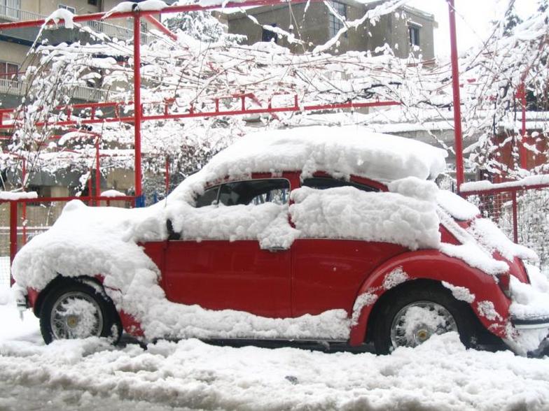 A car in Sir Dannieh - Lebanon, Cedars