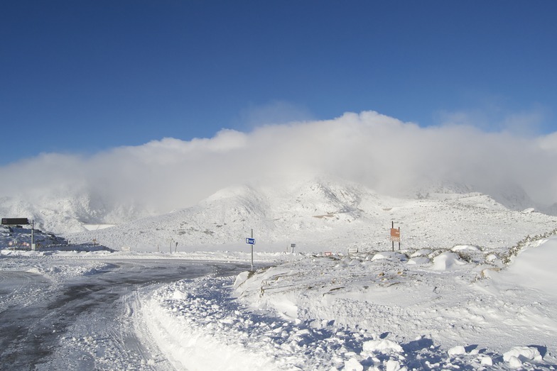 Piornos, Serra da Estrela