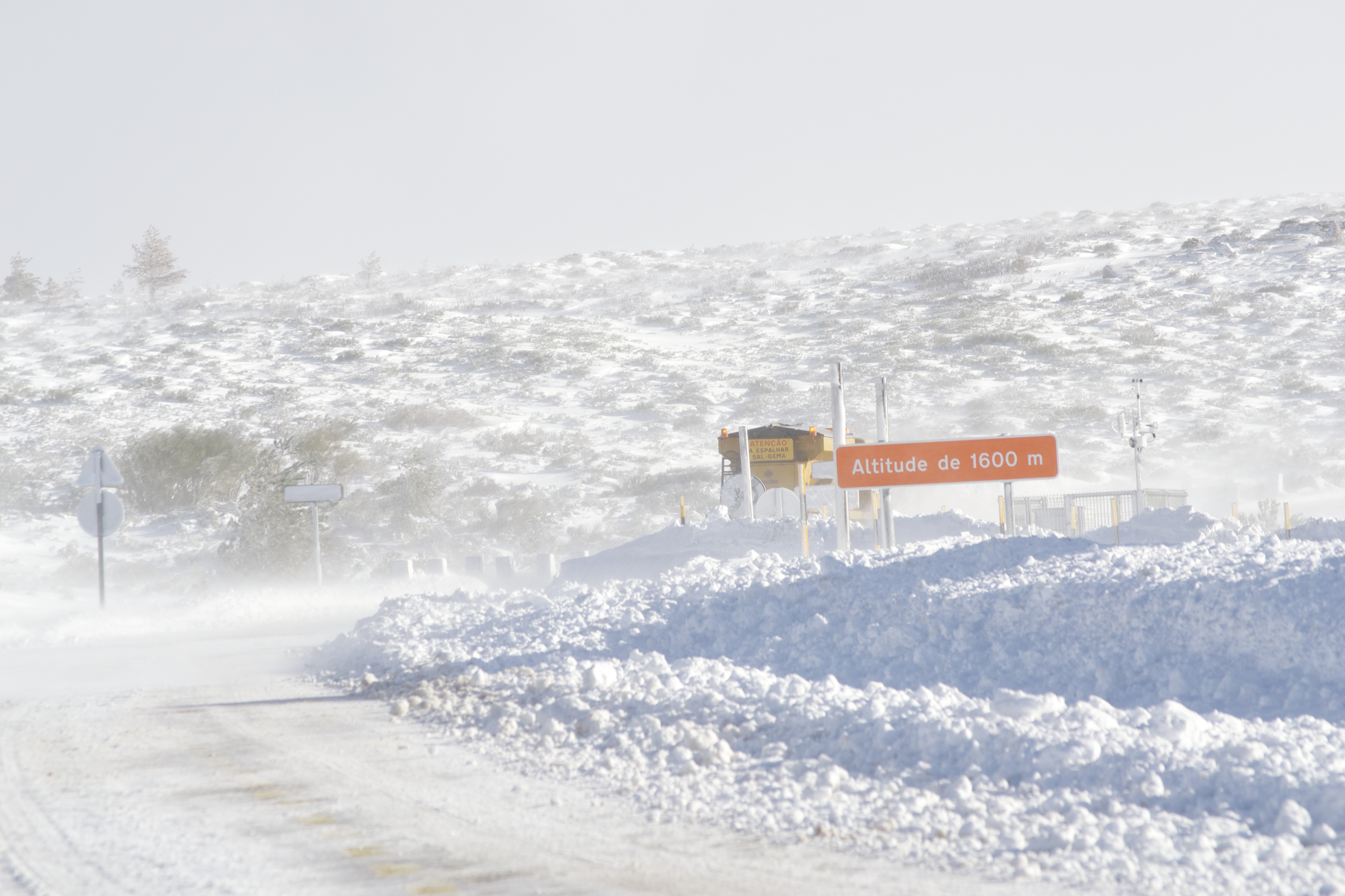 Piornos, Serra da Estrela