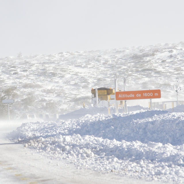 Serra da Estrela Snow: Piornos