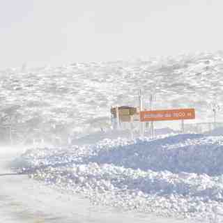 Piornos, Serra da Estrela